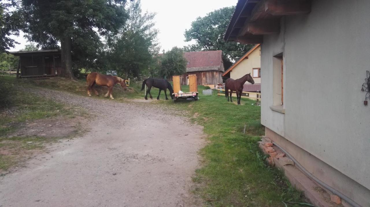 Farma Hermina Jilemnice Zewnętrze zdjęcie